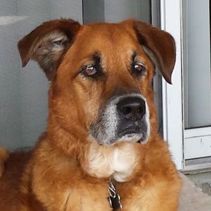 Meet your Posher, Natasha